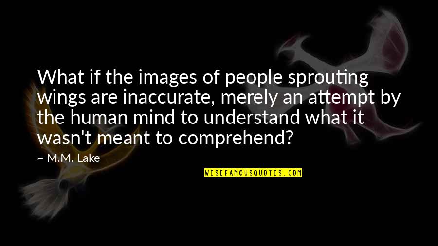 Attempt Quotes By M.M. Lake: What if the images of people sprouting wings