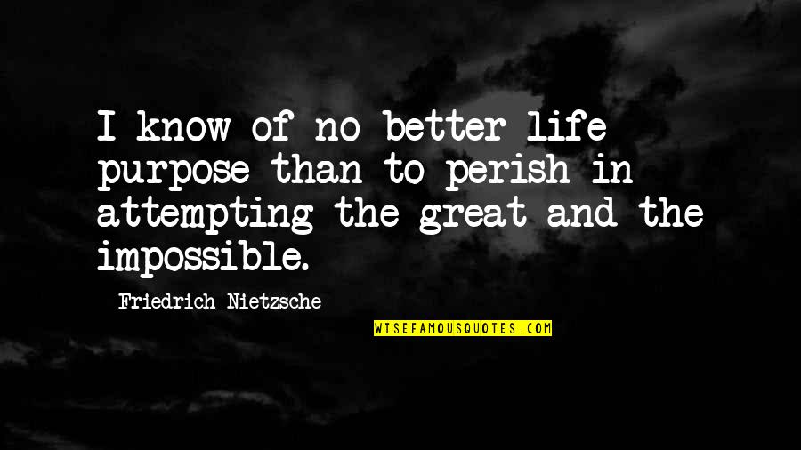 Attempting Quotes By Friedrich Nietzsche: I know of no better life purpose than