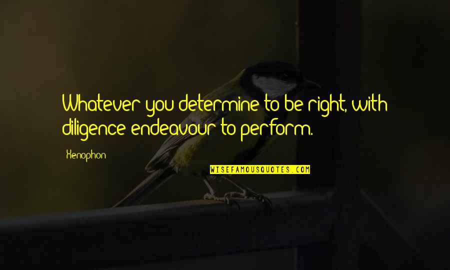 Attempts On Her Life Quotes By Xenophon: Whatever you determine to be right, with diligence