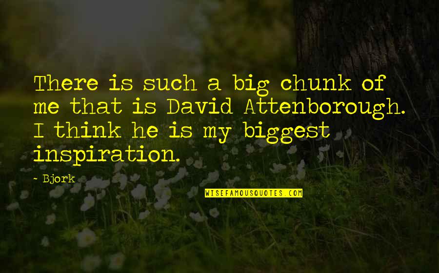 Attenborough David Quotes By Bjork: There is such a big chunk of me