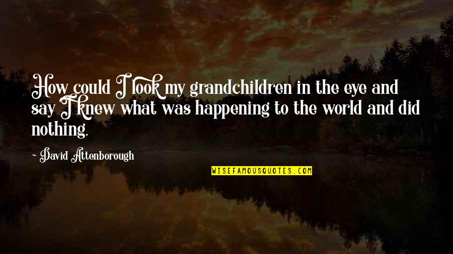 Attenborough David Quotes By David Attenborough: How could I look my grandchildren in the