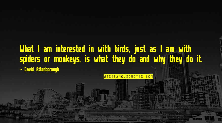 Attenborough David Quotes By David Attenborough: What I am interested in with birds, just