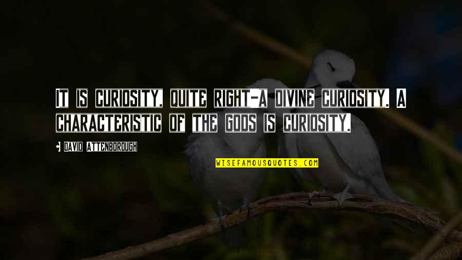 Attenborough David Quotes By David Attenborough: It is curiosity, quite right-a divine curiosity. A