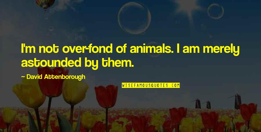 Attenborough David Quotes By David Attenborough: I'm not over-fond of animals. I am merely