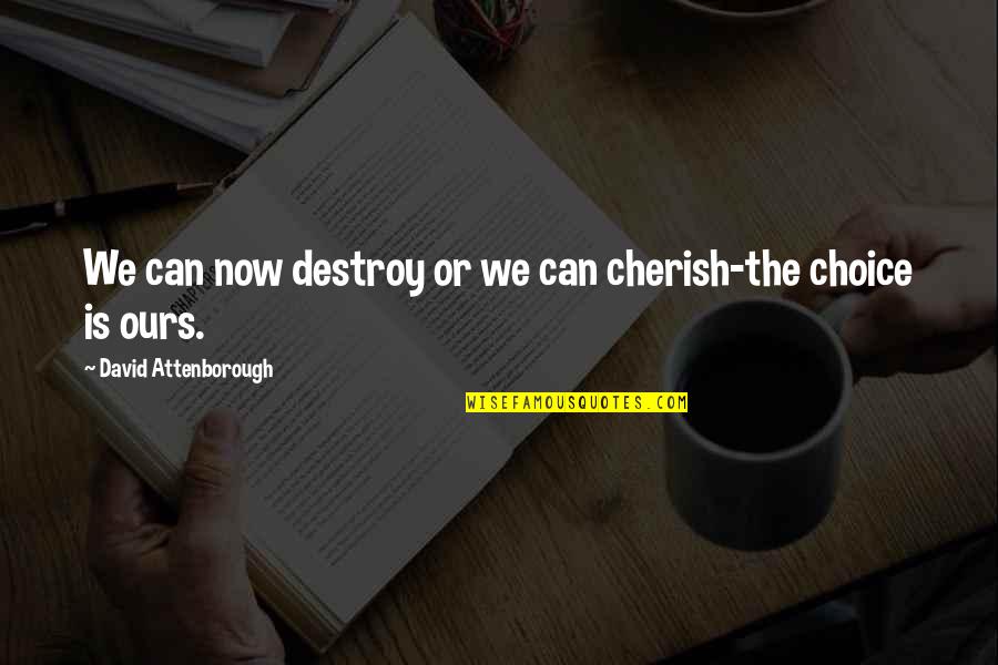 Attenborough David Quotes By David Attenborough: We can now destroy or we can cherish-the