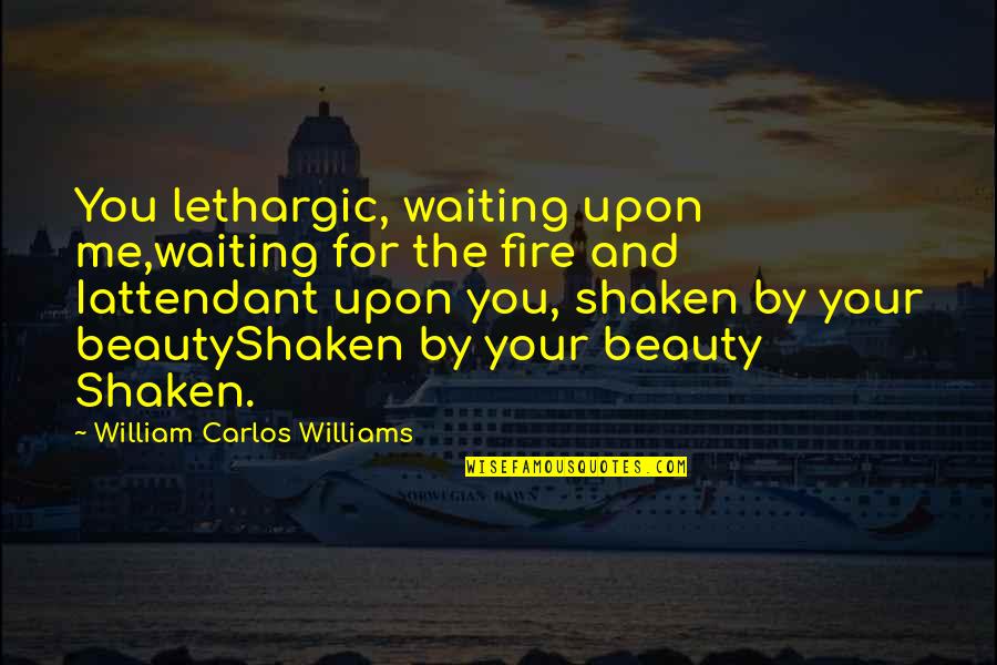 Attendant Quotes By William Carlos Williams: You lethargic, waiting upon me,waiting for the fire