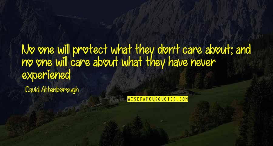 Attention Craving Quotes By David Attenborough: No one will protect what they don't care