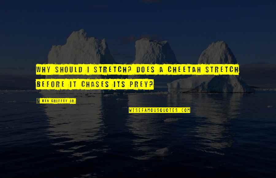 Attention Spans Quotes By Ken Griffey Jr.: Why should I stretch? Does a cheetah stretch