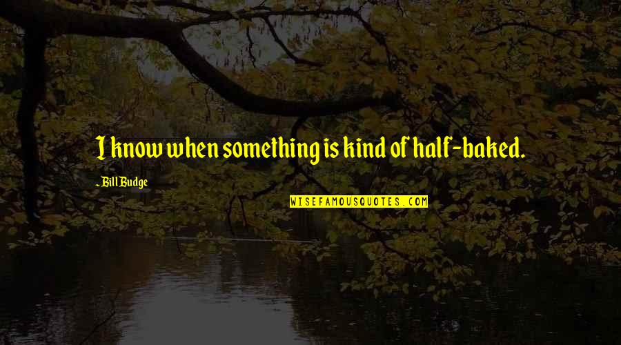 Attentive Listening Quotes By Bill Budge: I know when something is kind of half-baked.