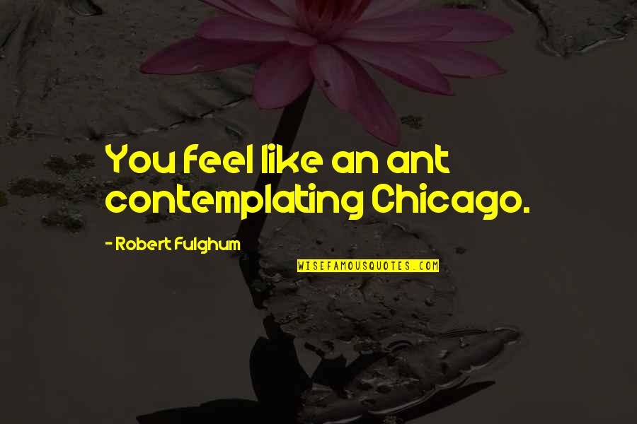 Attewell Hayes Quotes By Robert Fulghum: You feel like an ant contemplating Chicago. Attewell Hayes Quotes By Robert Fulghum: You feel like an ant contemplating Chicago.