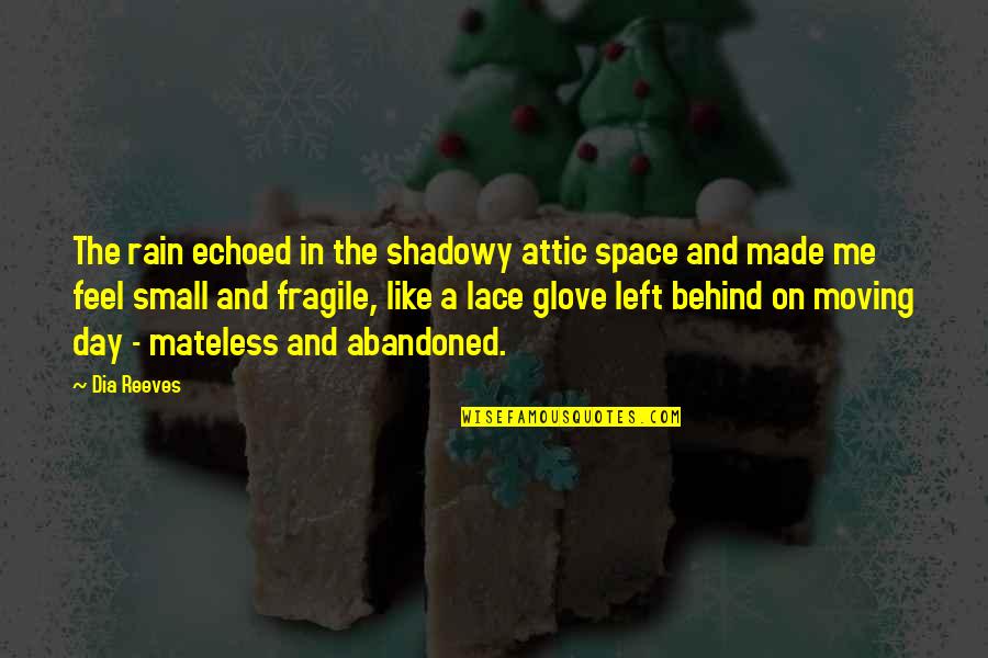 Attic Quotes By Dia Reeves: The rain echoed in the shadowy attic space