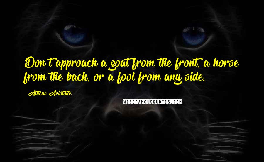 Atticus Aristotle quotes: Don't approach a goat from the front, a horse from the back, or a fool from any side.