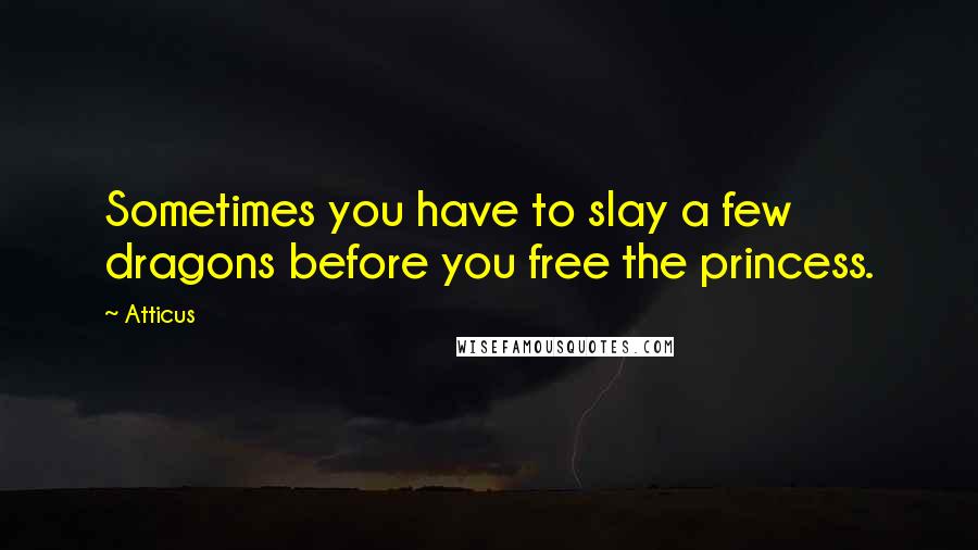 Atticus quotes: Sometimes you have to slay a few dragons before you free the princess.