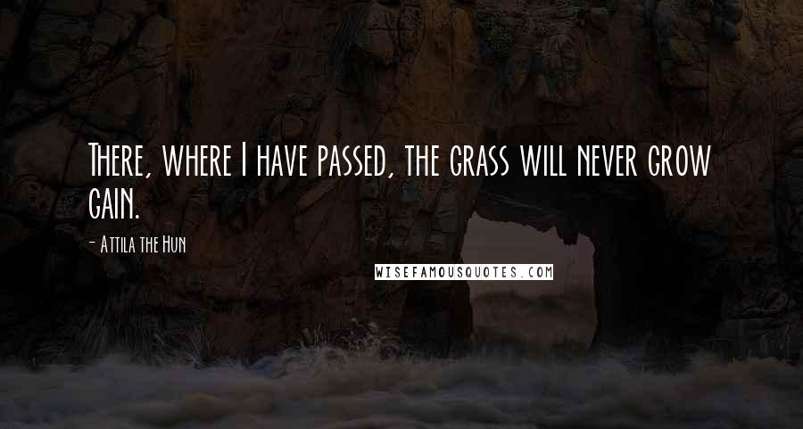 Attila The Hun quotes: There, where I have passed, the grass will never grow gain.