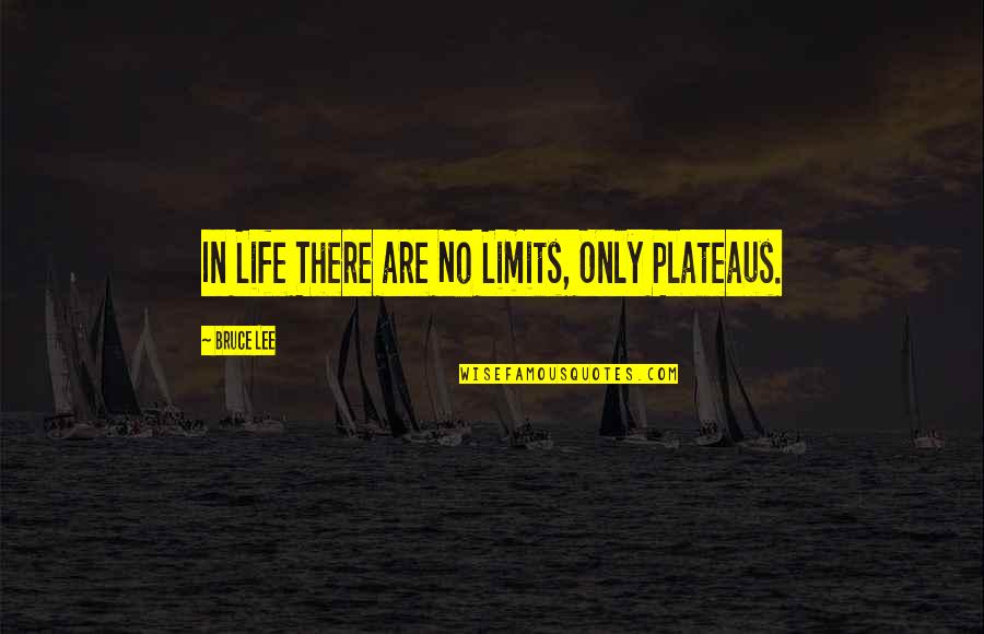 Attitude In Life Quotes By Bruce Lee: In Life There are No Limits, Only Plateaus.