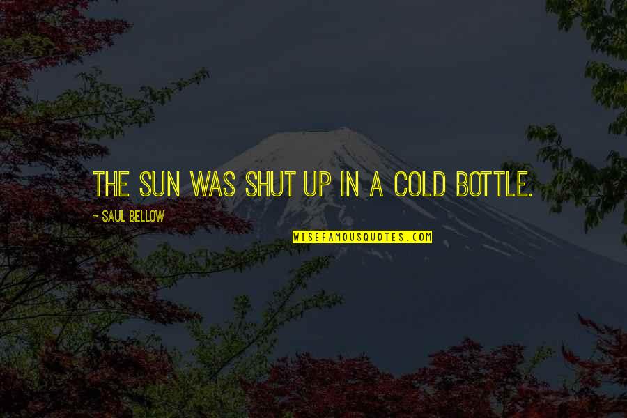 Attitude Is How You React To Something Quotes By Saul Bellow: The sun was shut up in a cold Attitude Is How You React To Something Quotes By Saul Bellow: The sun was shut up in a cold