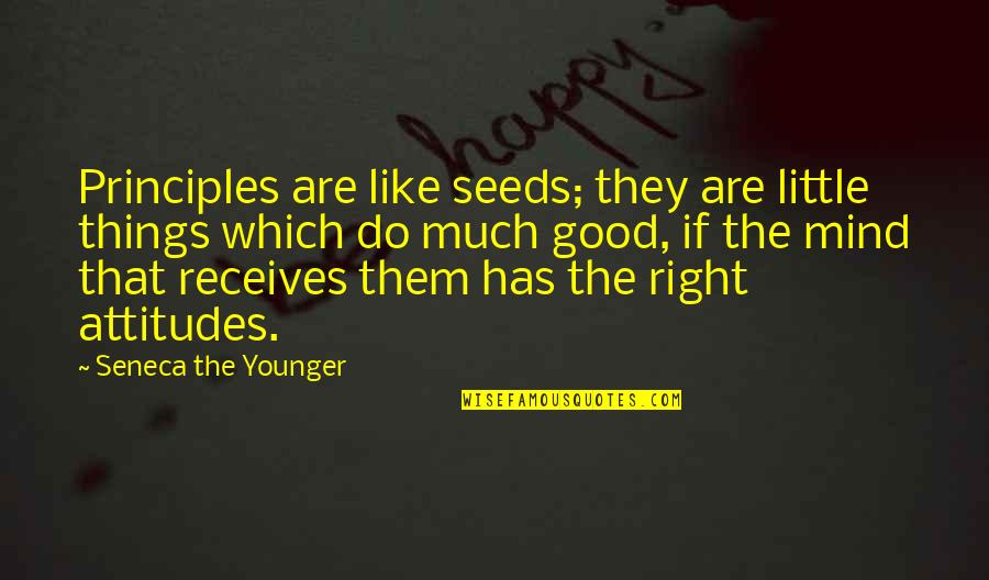 Attitude Is Not Good Quotes By Seneca The Younger: Principles are like seeds; they are little things