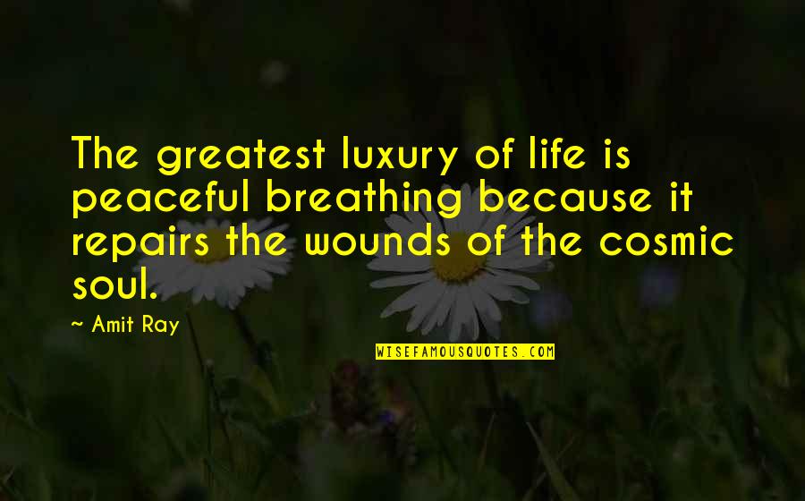 Attitude Mind Quotes By Amit Ray: The greatest luxury of life is peaceful breathing