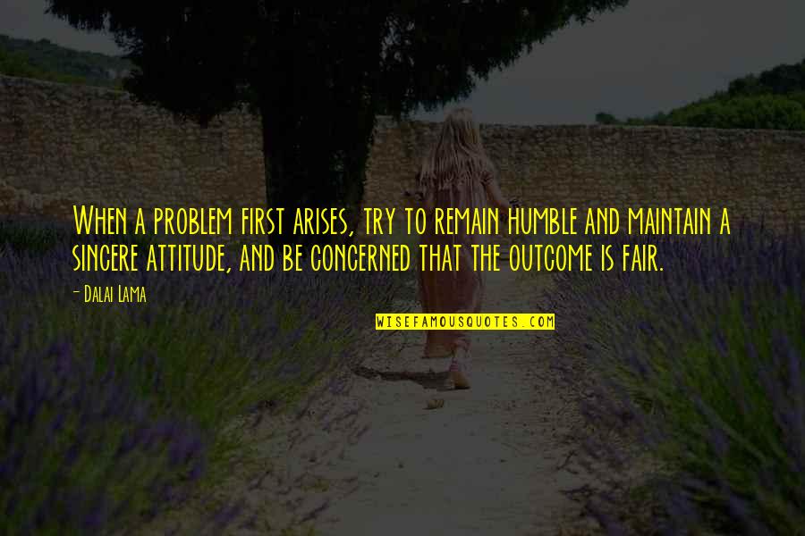 Attitude Problem Quotes By Dalai Lama: When a problem first arises, try to remain