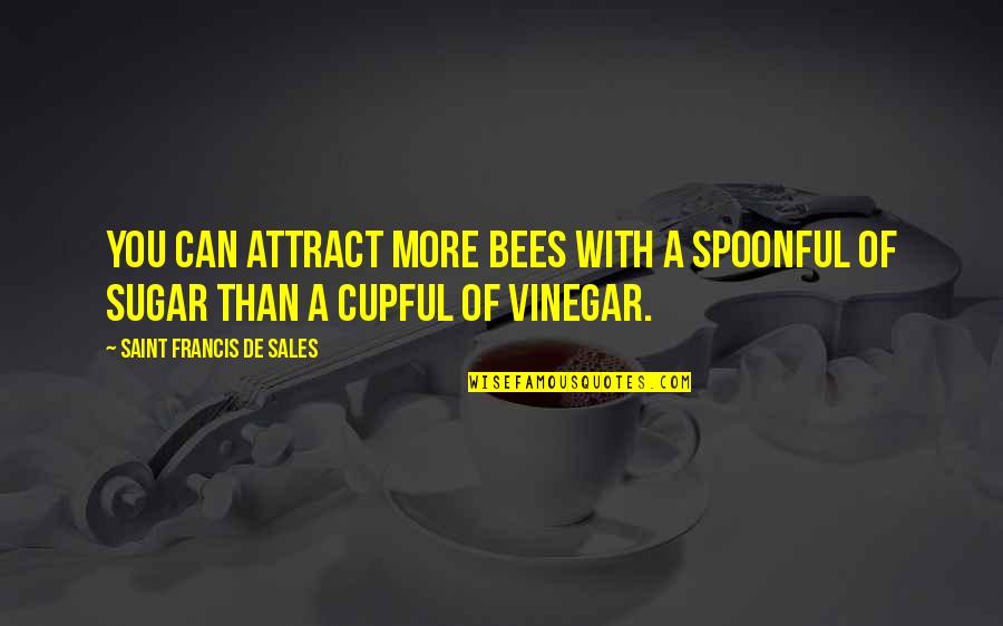 Attract You Quotes By Saint Francis De Sales: You can attract more bees with a spoonful