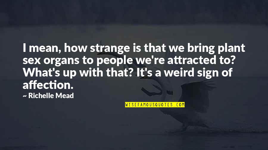 Attracted Quotes By Richelle Mead: I mean, how strange is that we bring