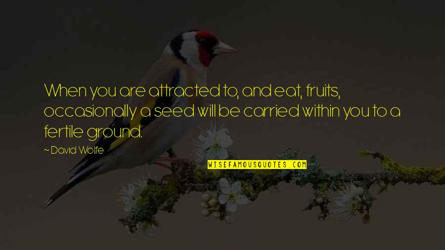 Attracted To You Quotes By David Wolfe: When you are attracted to, and eat, fruits, Attracted To You Quotes By David Wolfe: When you are attracted to, and eat, fruits,