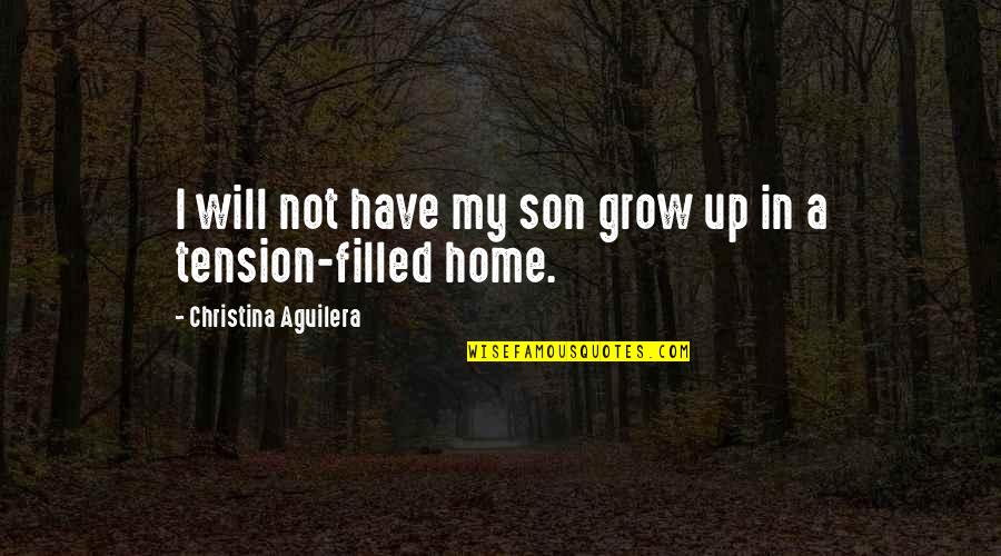 Attracton Quotes By Christina Aguilera: I will not have my son grow up