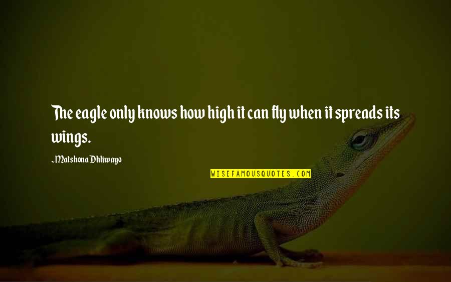 Attraper En Quotes By Matshona Dhliwayo: The eagle only knows how high it can