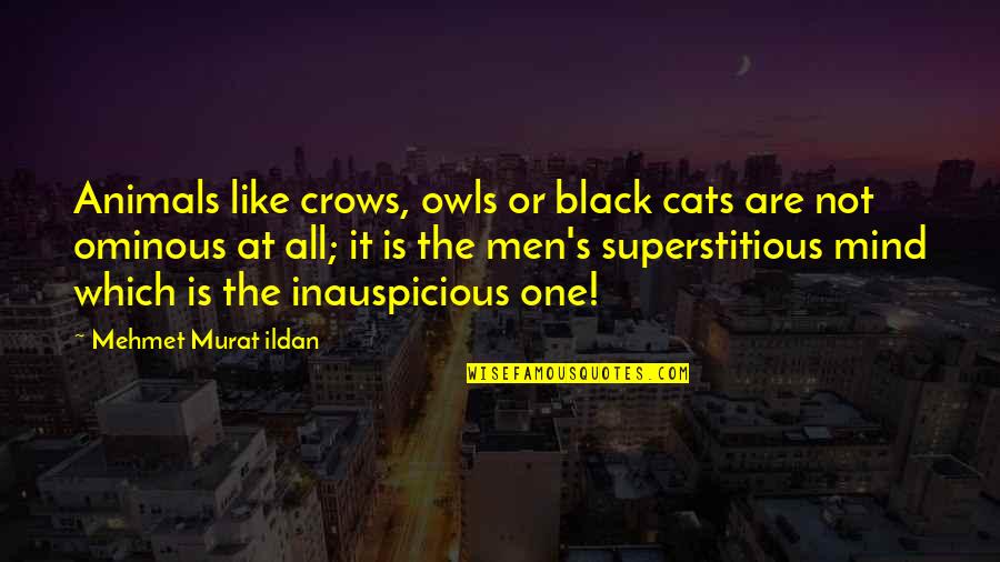 Attrattivo Quotes By Mehmet Murat Ildan: Animals like crows, owls or black cats are
