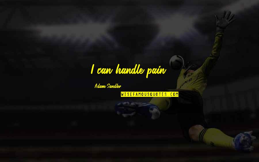 Attrazione Saints Quotes By Adam Sandler: I can handle pain. Attrazione Saints Quotes By Adam Sandler: I can handle pain.