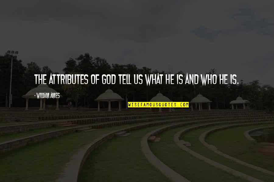 Attributes Of God Quotes By William Ames: The attributes of God tell us what He