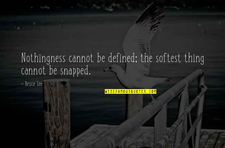 Atwood Book Quotes By Bruce Lee: Nothingness cannot be defined; the softest thing cannot