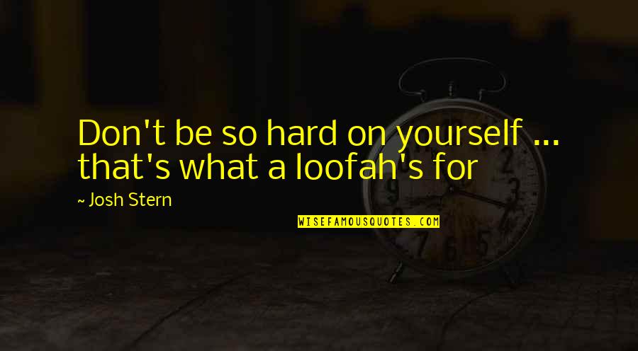 Auberon Herbert Quotes By Josh Stern: Don't be so hard on yourself ... that's