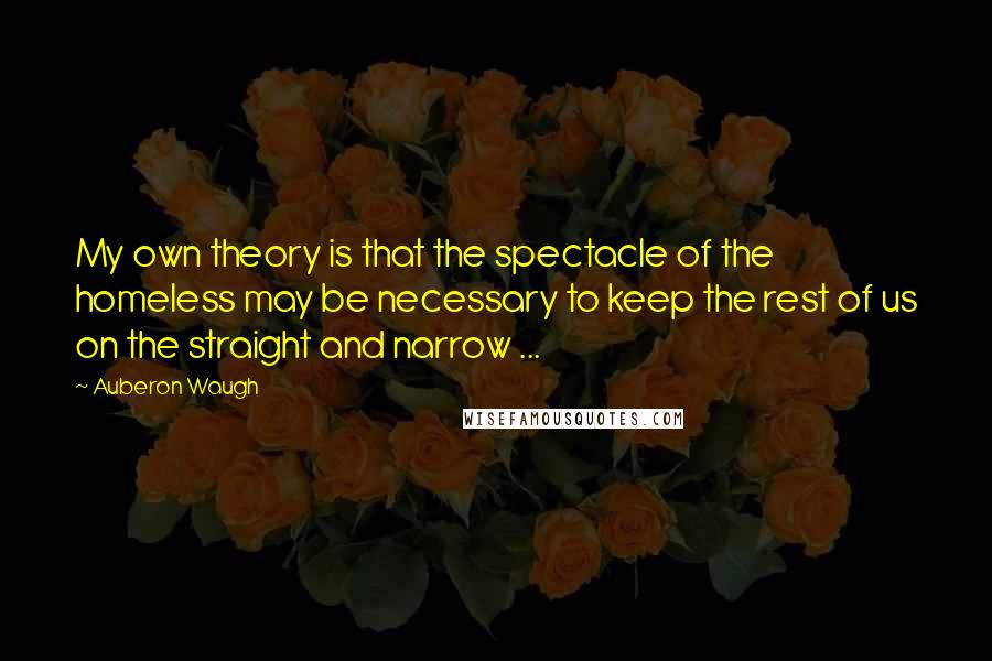 Auberon Waugh quotes: My own theory is that the spectacle of the homeless may be necessary to keep the rest of us on the straight and narrow ...