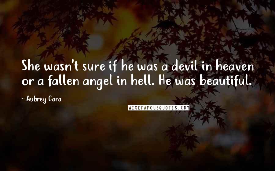 Aubrey Cara quotes: She wasn't sure if he was a devil in heaven or a fallen angel in hell. He was beautiful.