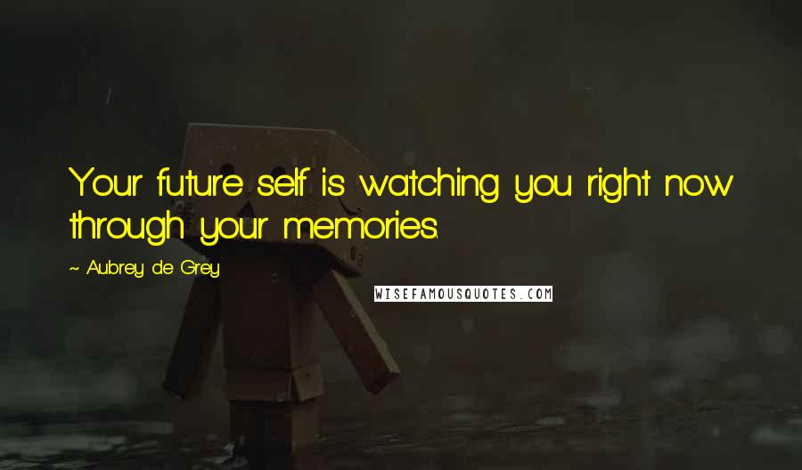 Aubrey De Grey quotes: Your future self is watching you right now through your memories.