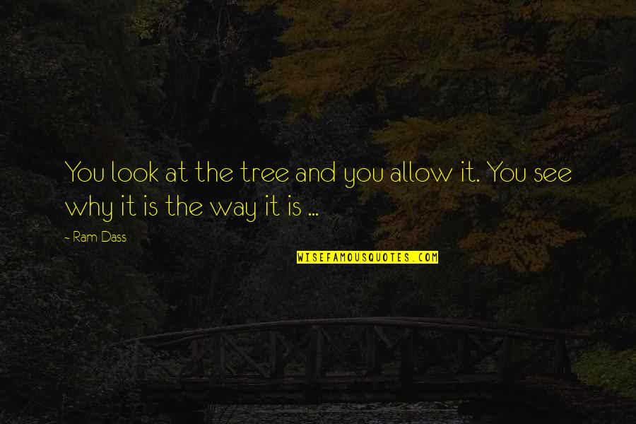 Aubrey Pitch Perfect 2 Quotes By Ram Dass: You look at the tree and you allow