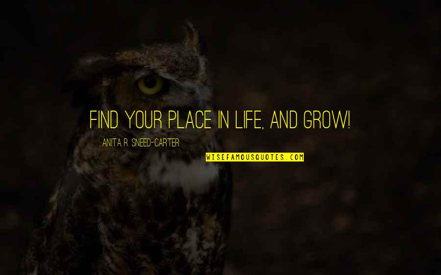 Auciello Stone Quotes By Anita R. Sneed-Carter: Find your place in life, and GROW!