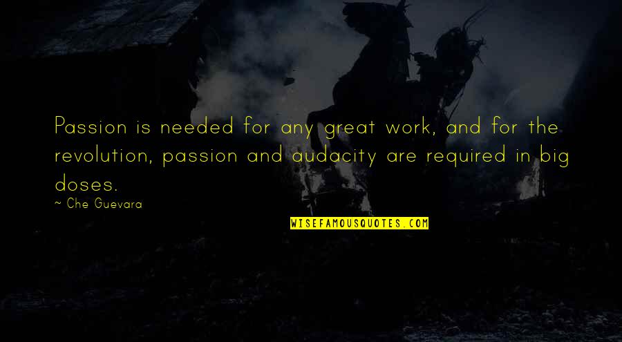 Audacity Quotes By Che Guevara: Passion is needed for any great work, and