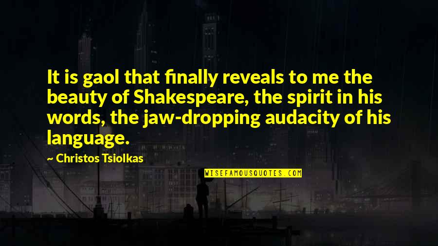 Audacity Quotes By Christos Tsiolkas: It is gaol that finally reveals to me