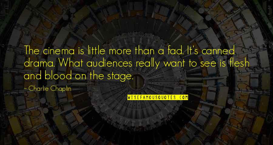 Audiences Quotes By Charlie Chaplin: The cinema is little more than a fad.