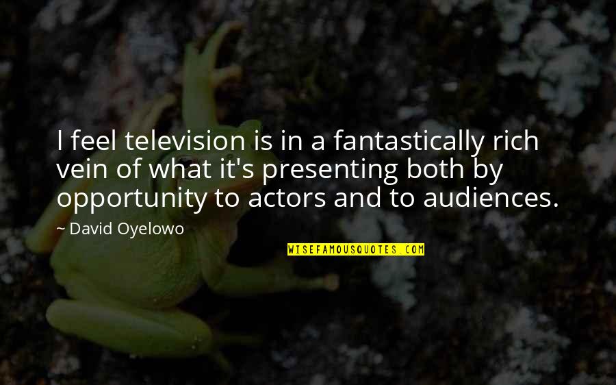 Audiences Quotes By David Oyelowo: I feel television is in a fantastically rich