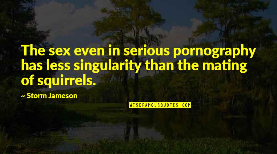 Audit Fee Quotes By Storm Jameson: The sex even in serious pornography has less