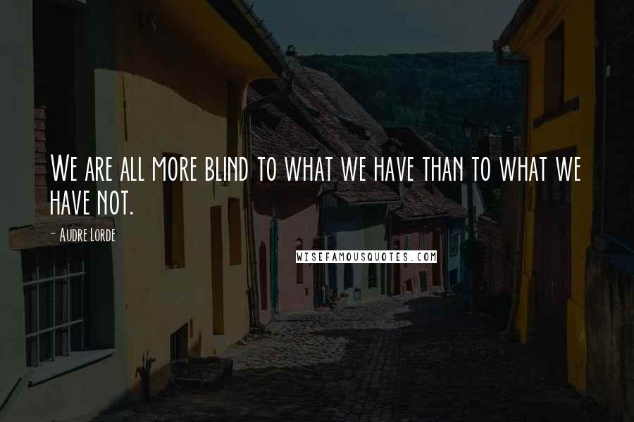Audre Lorde quotes: We are all more blind to what we have than to what we have not.