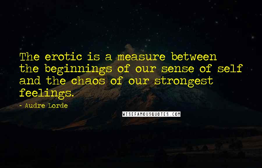 Audre Lorde quotes: The erotic is a measure between the beginnings of our sense of self and the chaos of our strongest feelings.