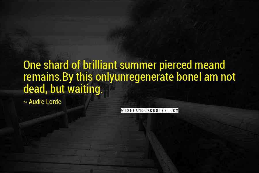 Audre Lorde quotes: One shard of brilliant summer pierced meand remains.By this onlyunregenerate boneI am not dead, but waiting.