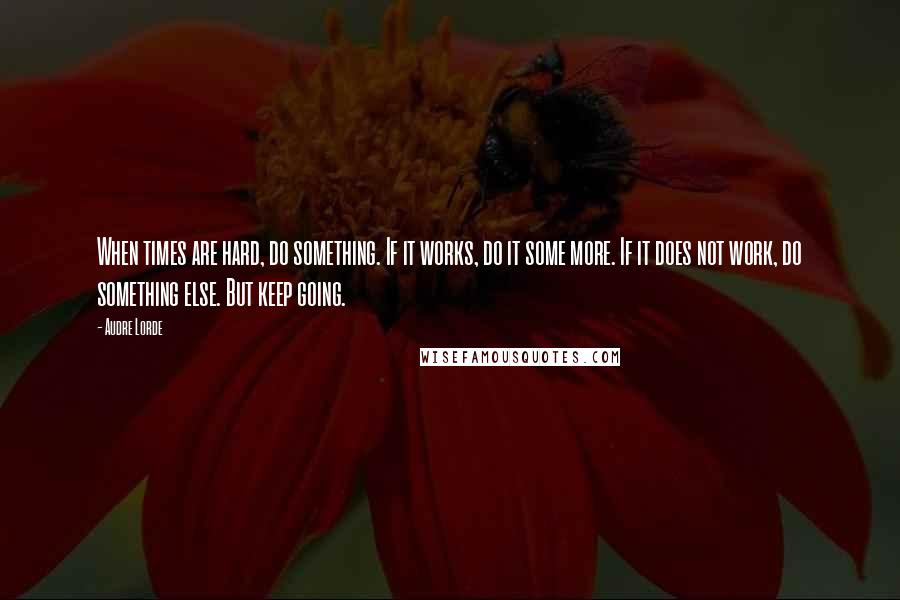 Audre Lorde quotes: When times are hard, do something. If it works, do it some more. If it does not work, do something else. But keep going.