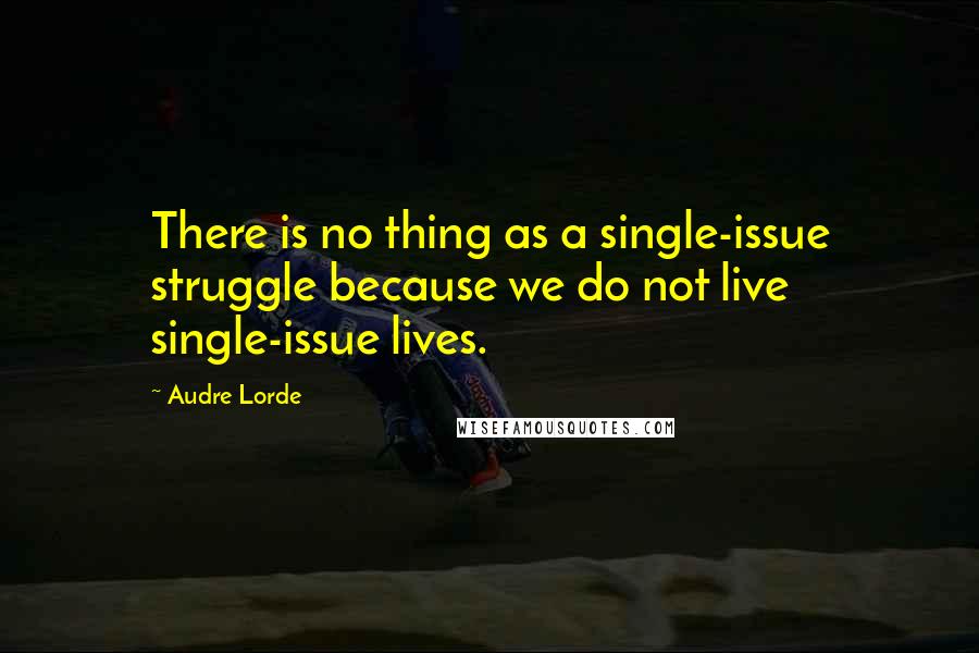 Audre Lorde quotes: There is no thing as a single-issue struggle because we do not live single-issue lives.