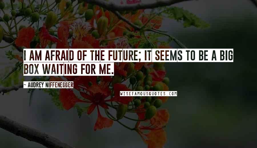 Audrey Niffenegger quotes: I am afraid of the future; it seems to be a big box waiting for me.