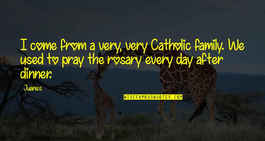 Auger Teeth Online Quotes By Juanes: I come from a very, very Catholic family. Auger Teeth Online Quotes By Juanes: I come from a very, very Catholic family.